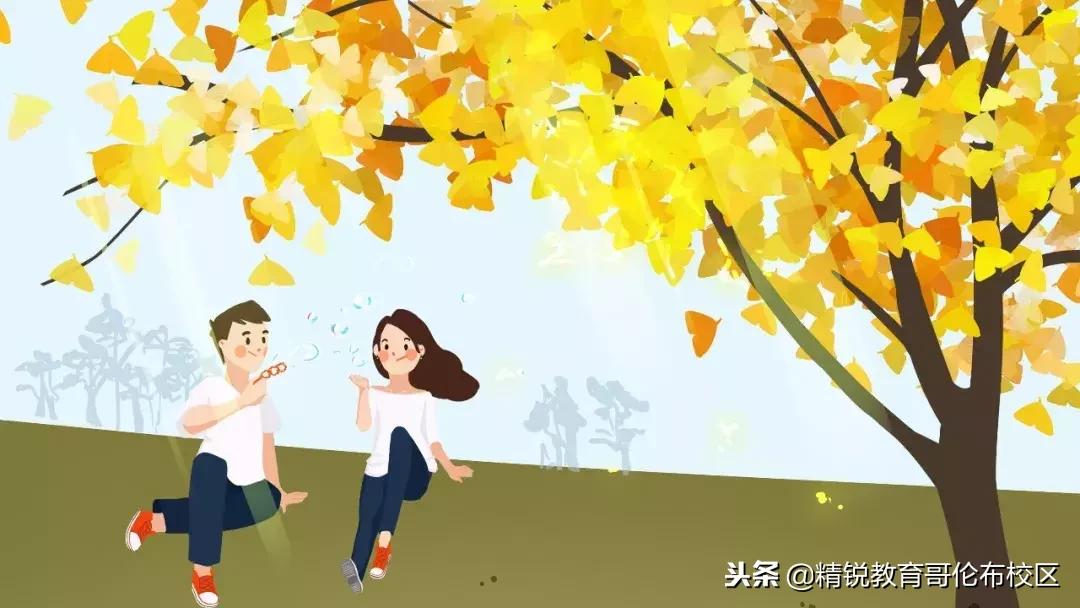 小学修辞手法句子类型知识点总结,小学带修辞手法的阅读理解例文