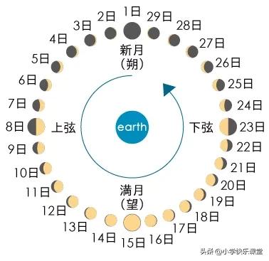 2020年2月有29天，全年有5个神奇周六...这些知识，讲给孩子听
