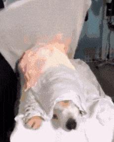 正确辟谷减肥方法看看专家怎么说,辟谷减肥真的不可取吗