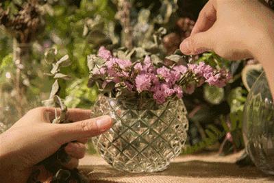 老外说你是“greengirl”不是指“绿色女孩”，可别误会！