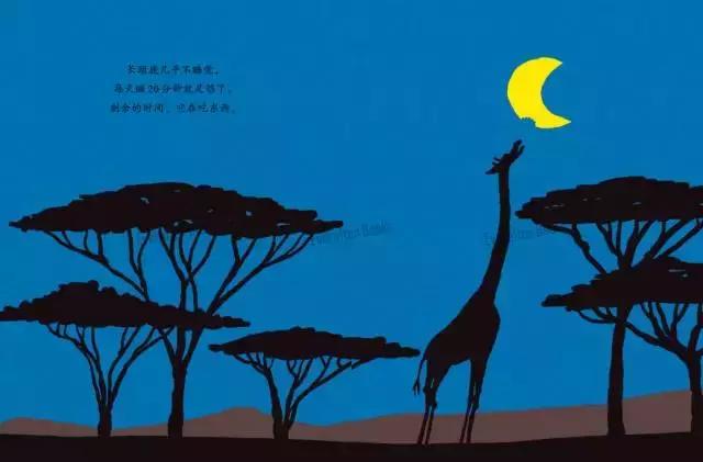 大人和孩子都不可错过的绘本,值得孩子看的4本经典绘本