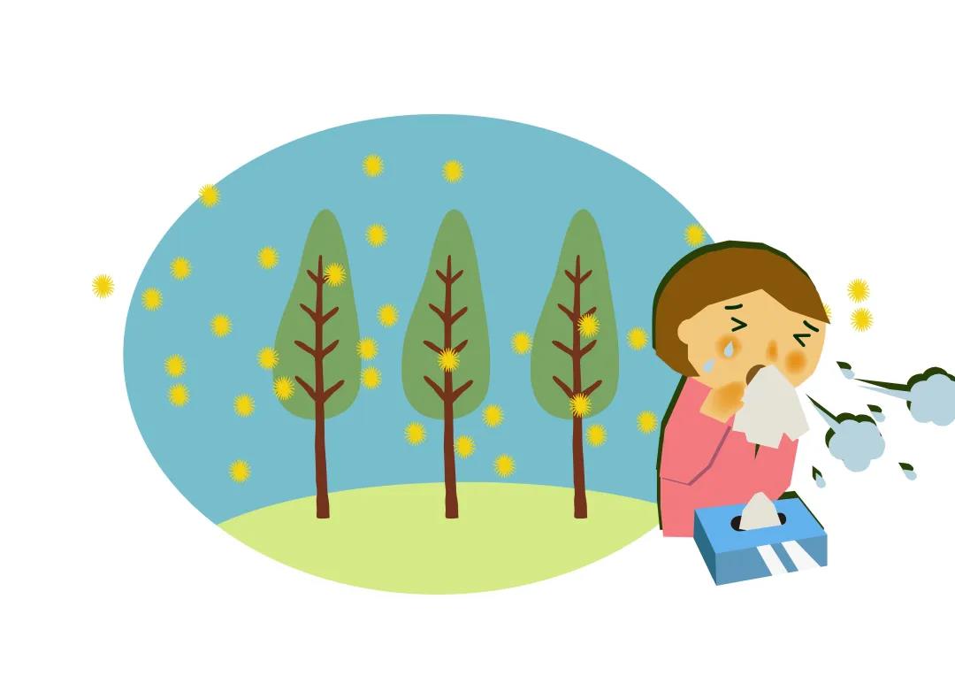 日本网红鼻炎药的危害,网上买的鼻炎药靠谱吗