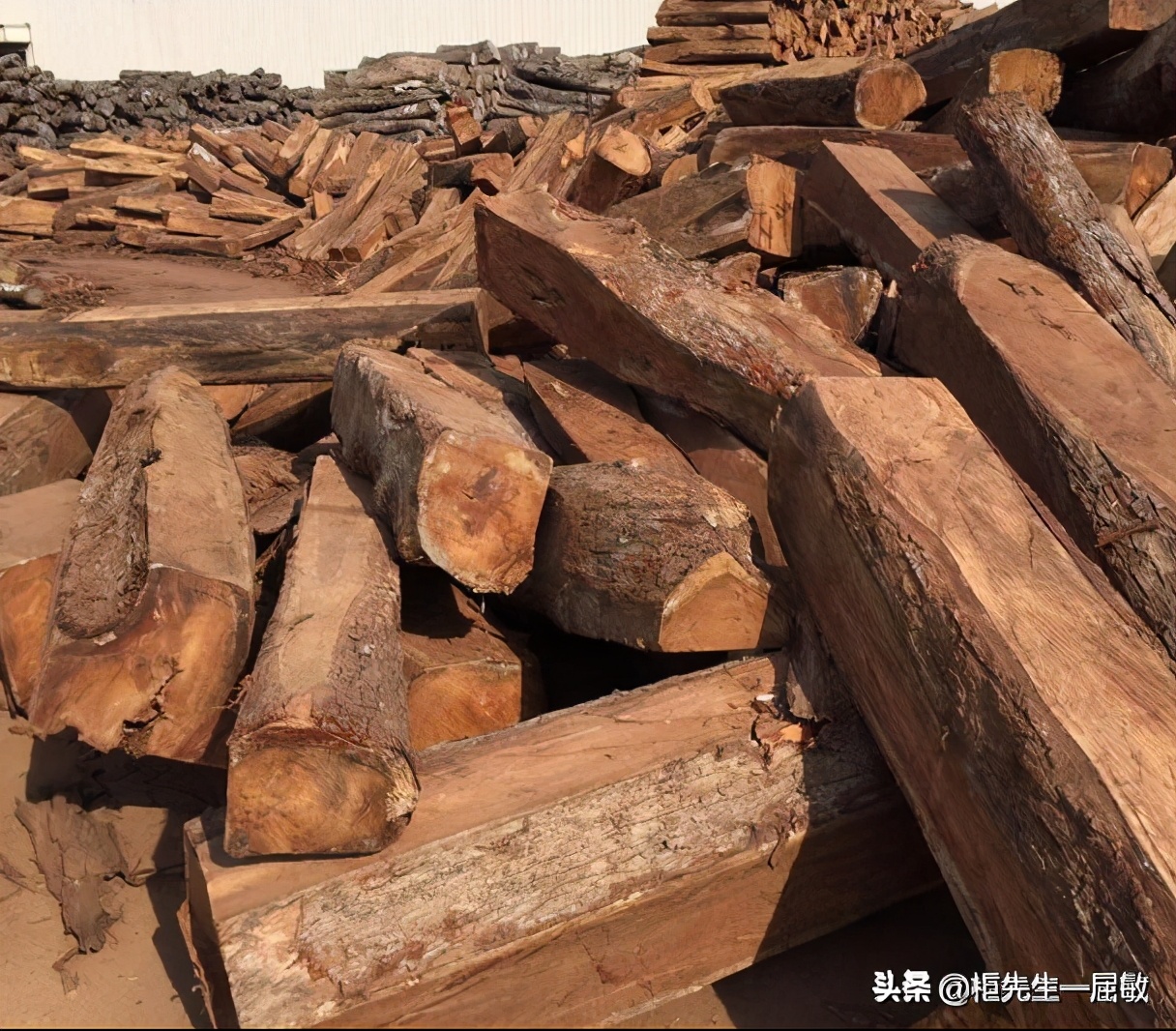 家里书柜带书桌怎么设计好,家里书柜怎么放有讲究