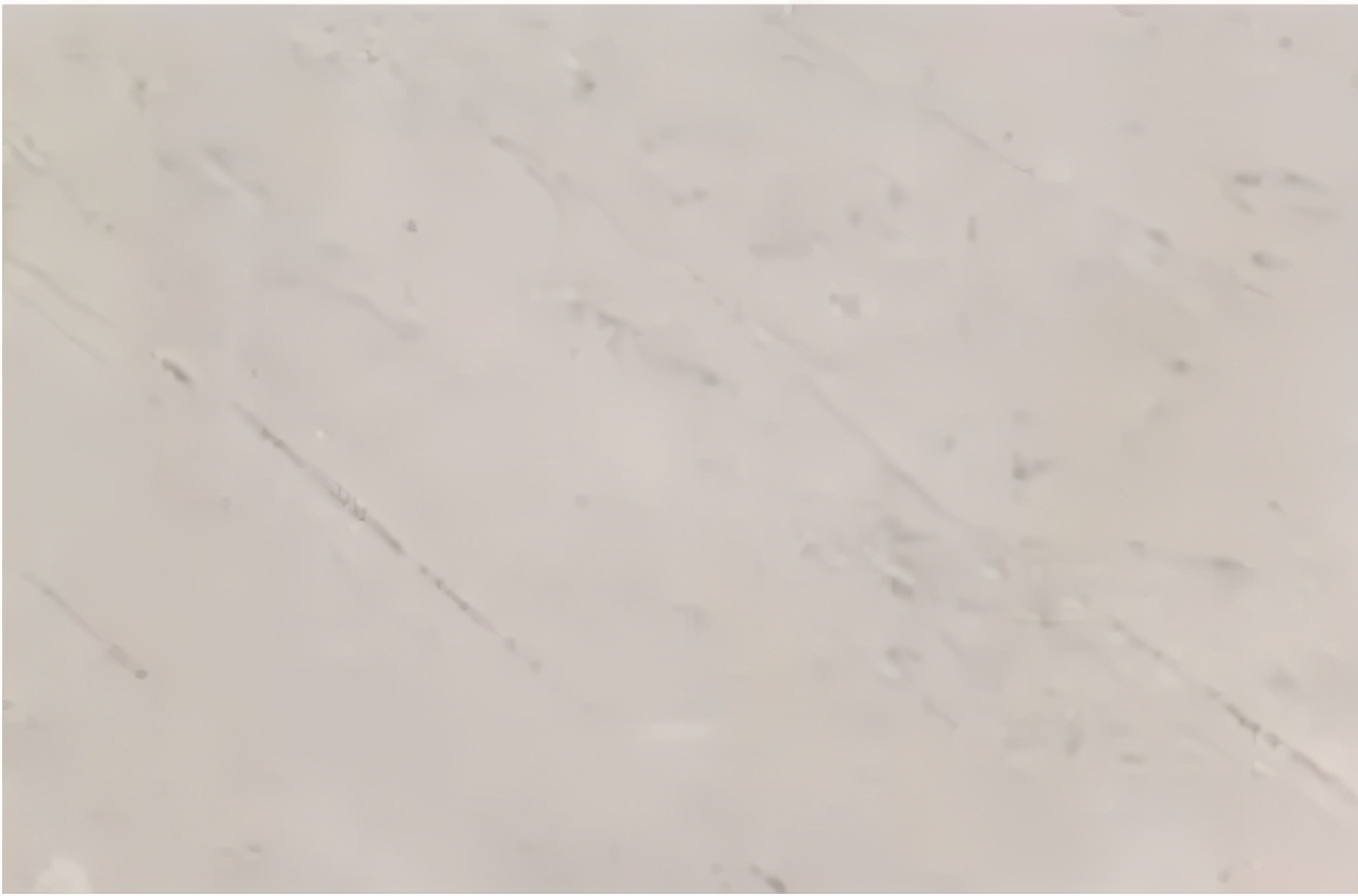 适合办公室装修的石材,办公室装修设计大全简约