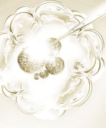 韩束美白补水晚安睡眠面膜,韩束熬夜面膜去黄提亮