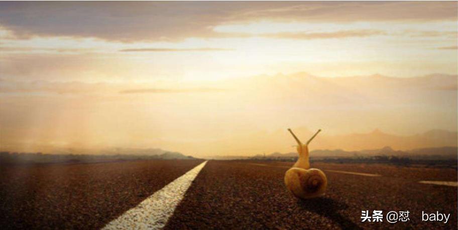 平面设计从零开始学入门,新手怎样做平面设计