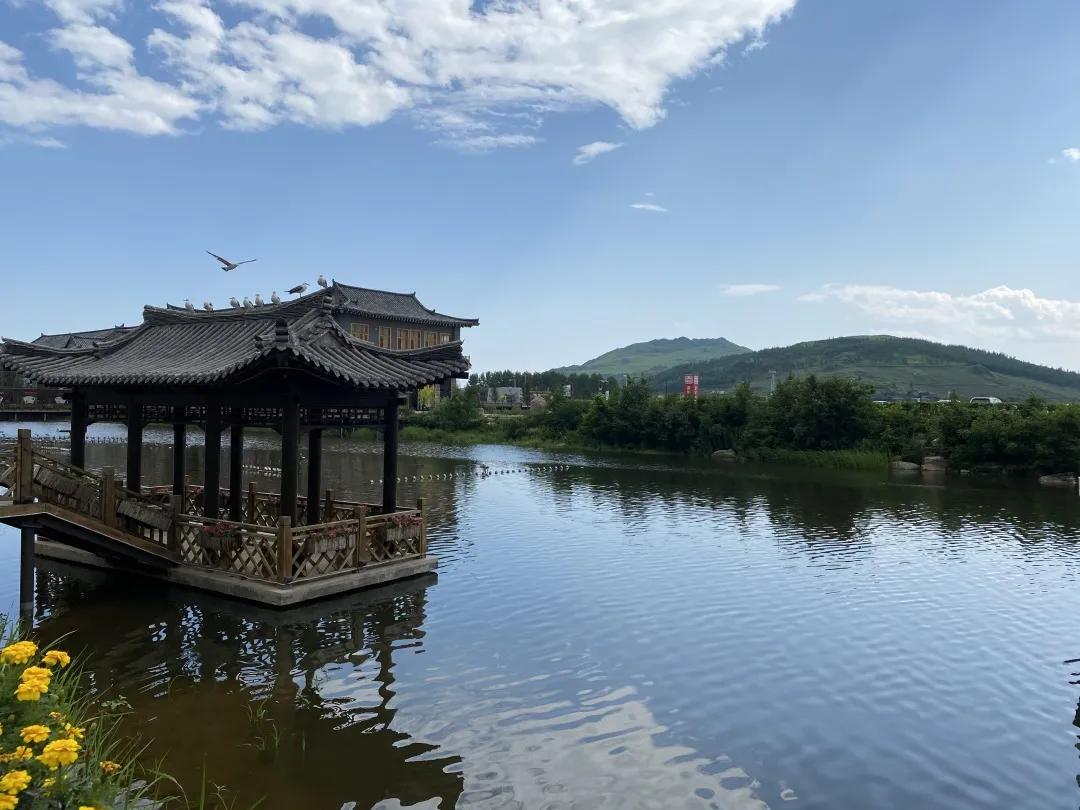 醉花海古镇美景,醉舞花海