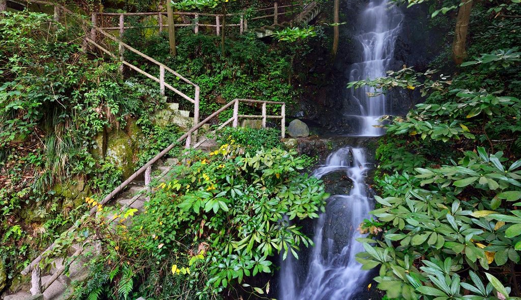 武夷山千禧嘉元酒店,武夷山新晋豪华酒店