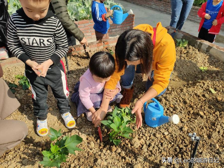 让孩子体验农耕生活的地方,儿童农耕生活体验