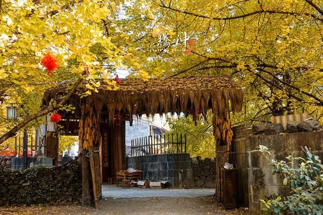 邂逅秋的王国：腾冲，你已在我心间