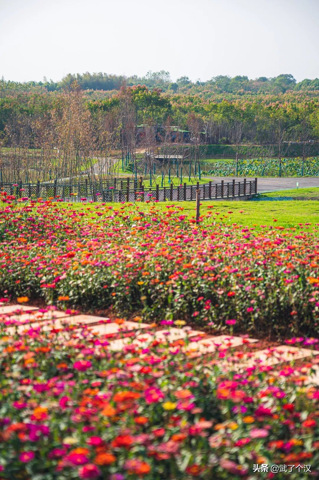 武昌向南择墅而居,这或许是你离理想生活最近的一次
