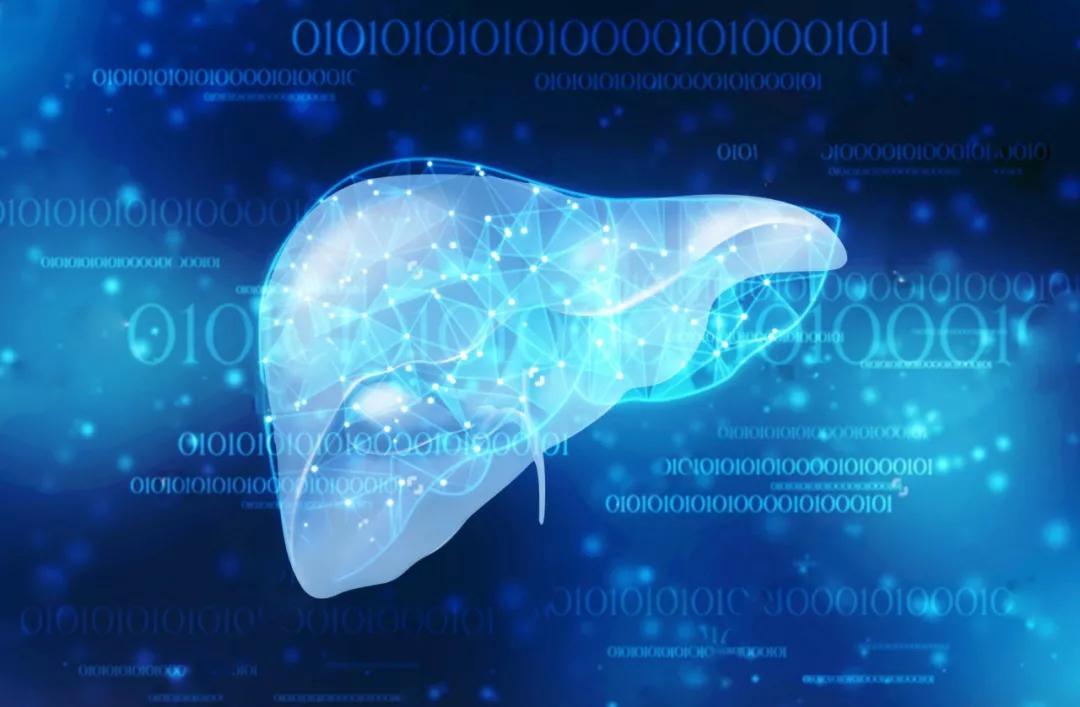 韦立得能逆转肝纤维化吗,2020乙肝医保新药韦立得