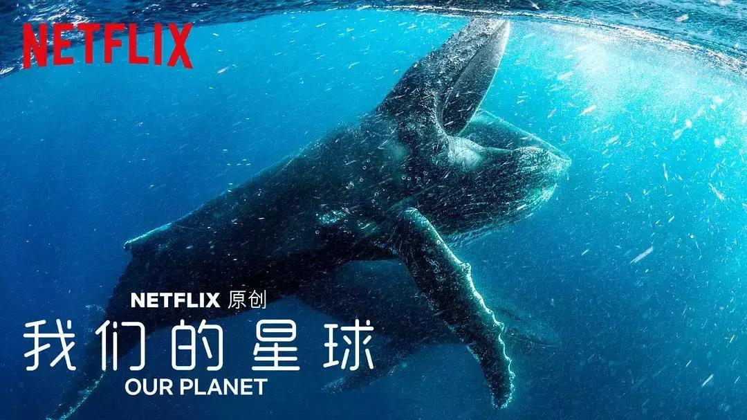 netflix2019十大必看神作,netflix十大神剧