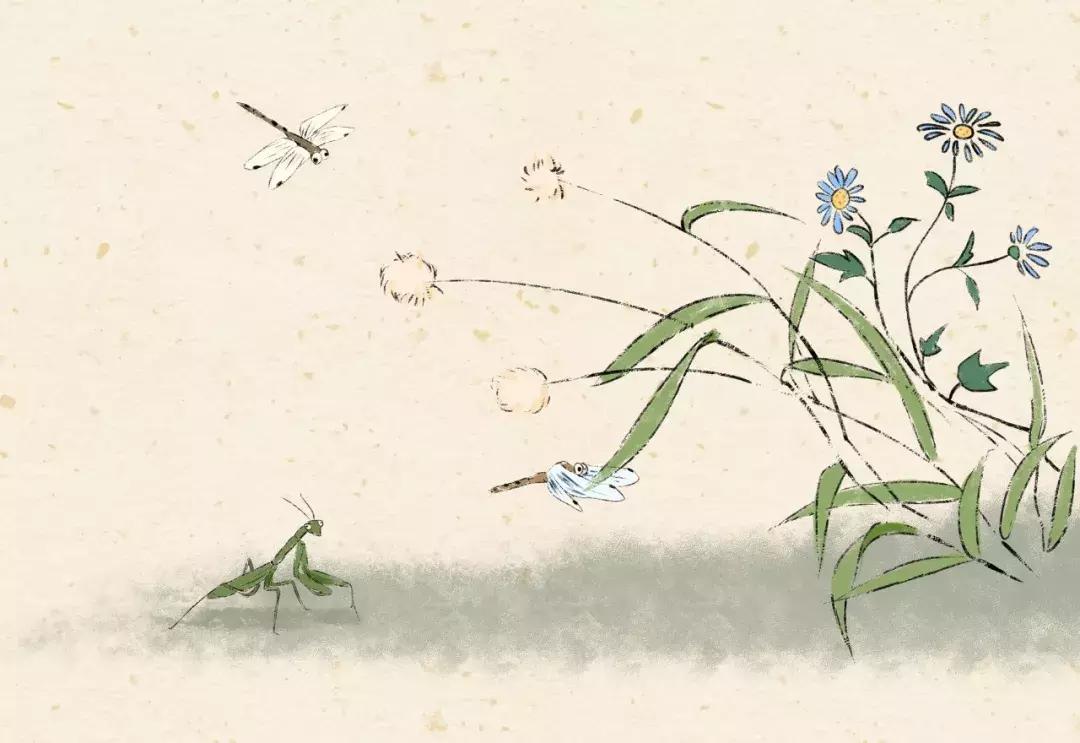 宋词美在何处原唱,宋词美到极致的意境