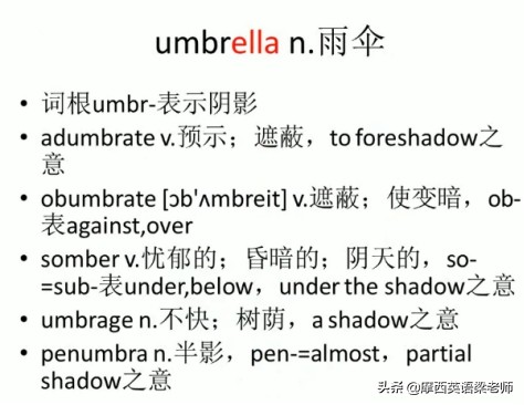 和雨伞同类的英文单词有哪些,雨伞的英语单词是什么