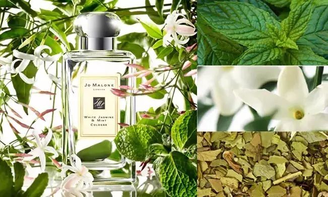 祖马龙香水5件套测评,祖玛珑香水哪个系列最好