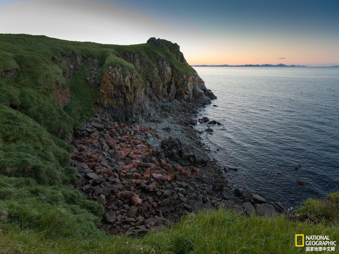 阿拉斯加听海,在阿拉斯加海湾听海