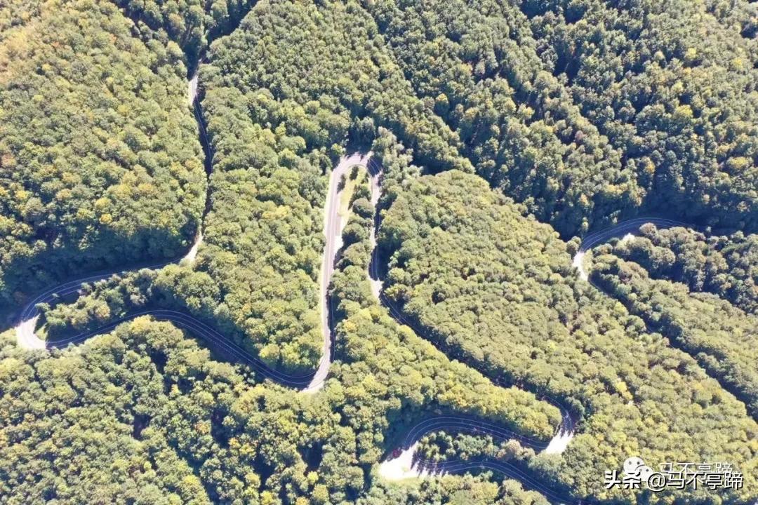 在家葛优躺的视频,晚上在家葛优躺视频