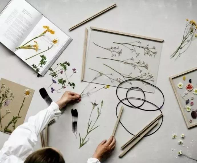 她用这种高颜值的干花装饰家里，隔壁邻居都惊叹不已