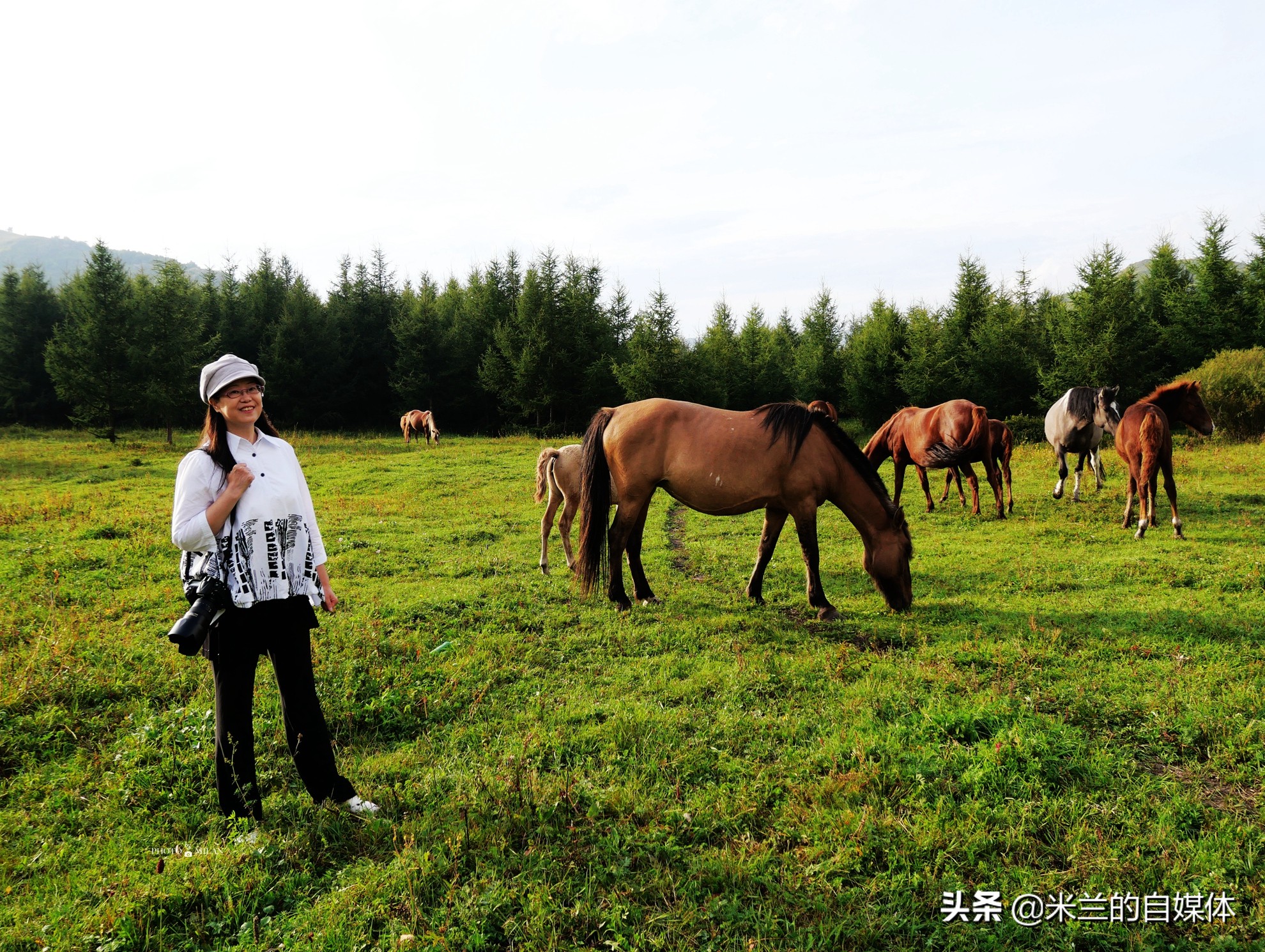 北京周边二日自驾游最佳路线图,北京周边自驾游两天一夜攻略草原