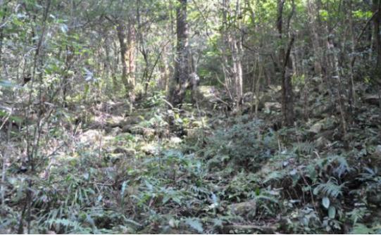 *击狙**手的伪装能力究竟有多强？很少有人能在3秒内全部发现的