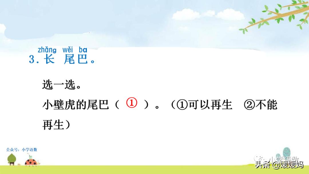 一年级小壁虎借尾巴原文图片,小壁虎借尾巴优质课一等奖