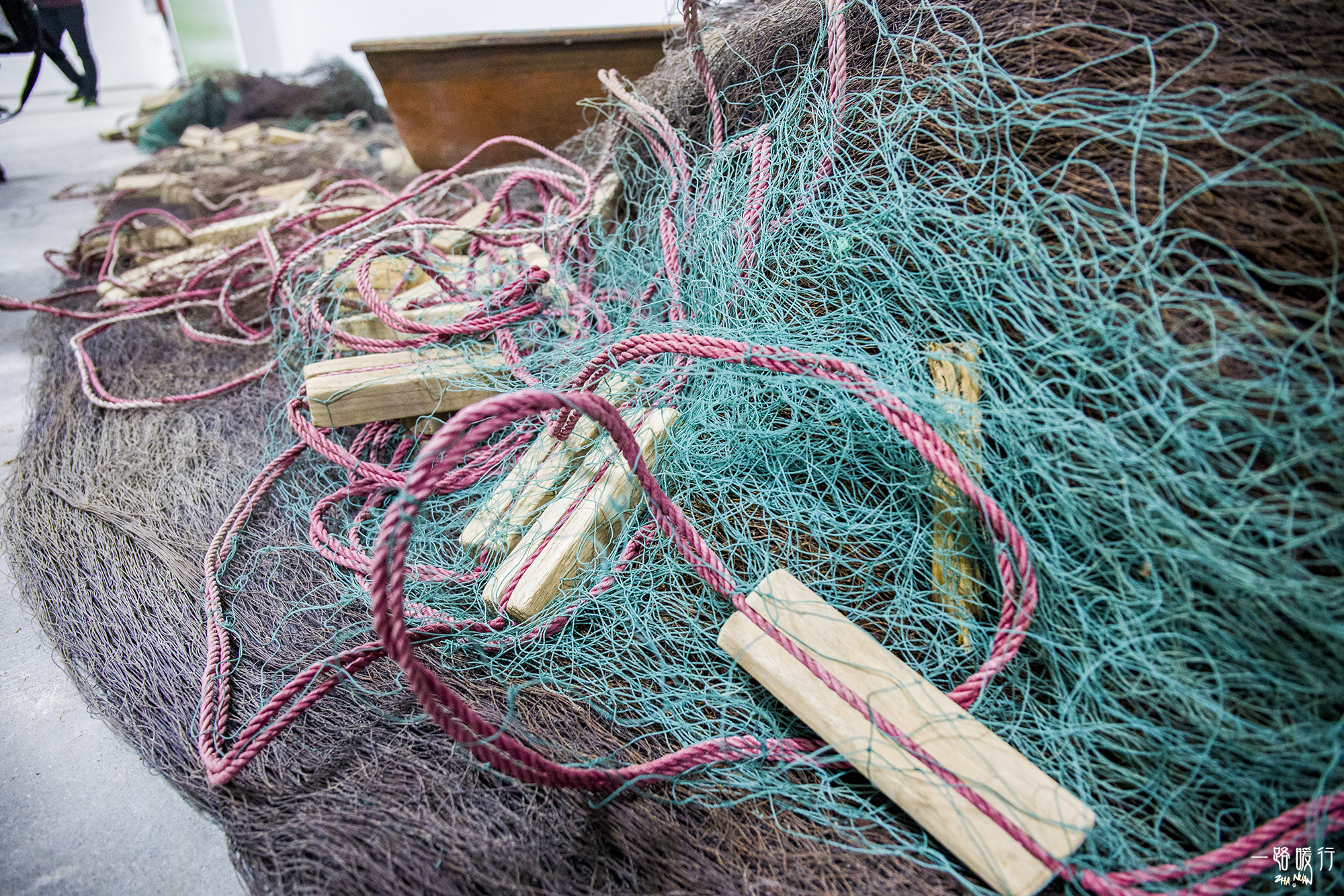 牡蛎生命意义,野生牡蛎的价值