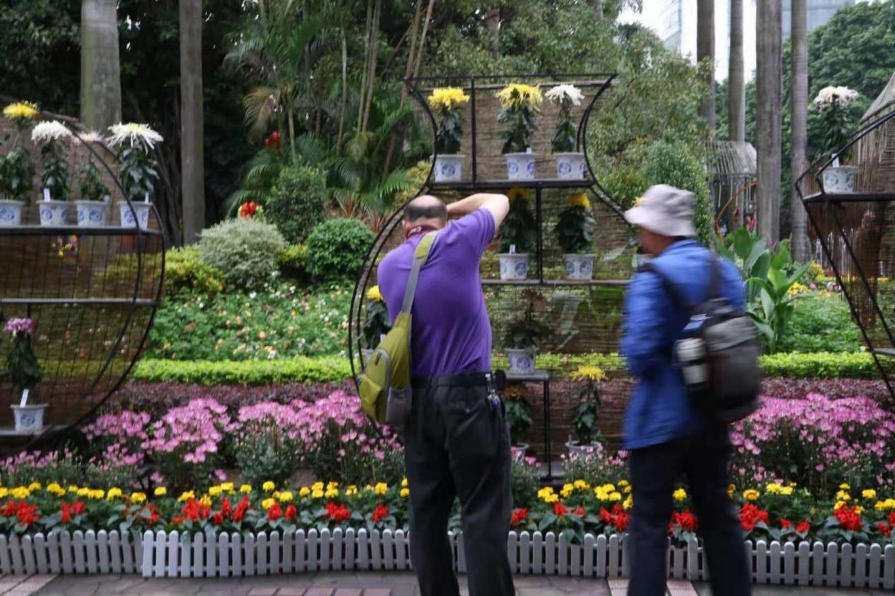 第63届广州羊城菊花展,第59届羊城菊花会