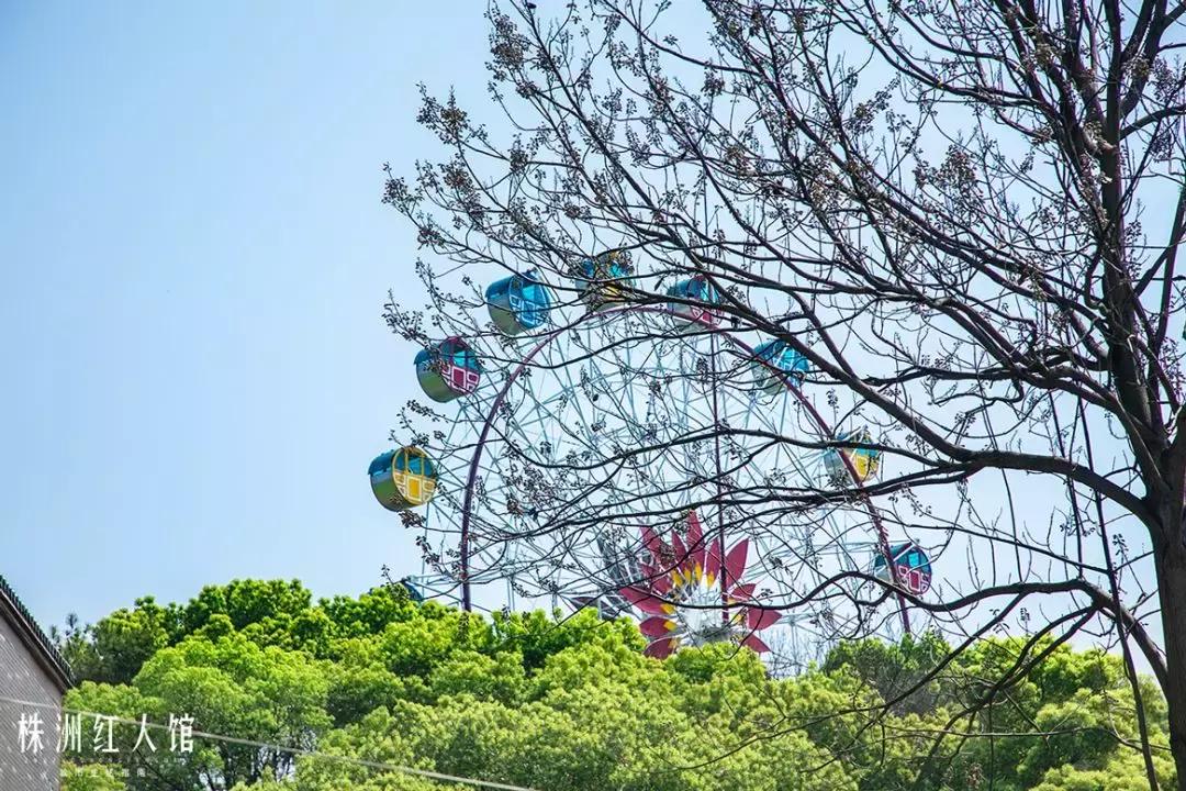 以前的株洲神农公园,株洲神农公园古城