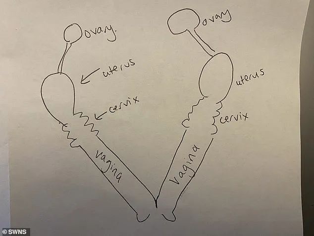 世界之大无奇不有呀完整版,世界之大无奇不有各有特色