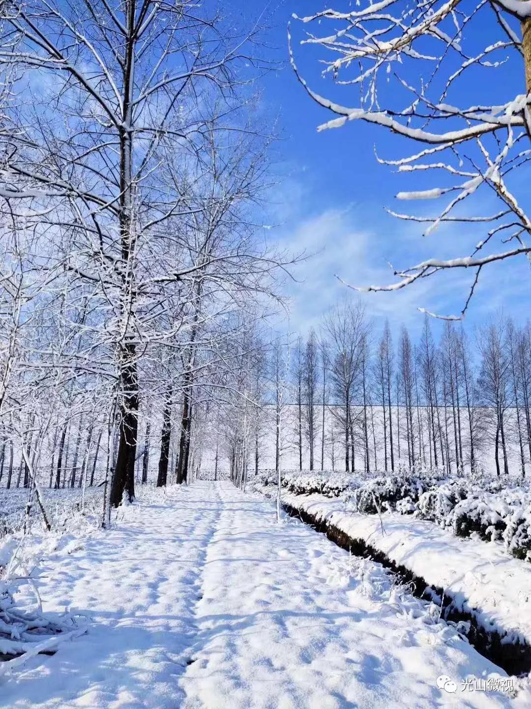 替你“打卡”！疫情中的光山雪景