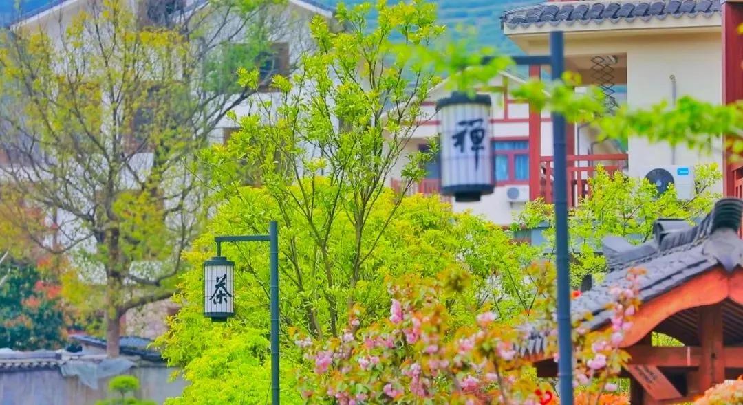 杭州出家,杭州出家需要什么条件