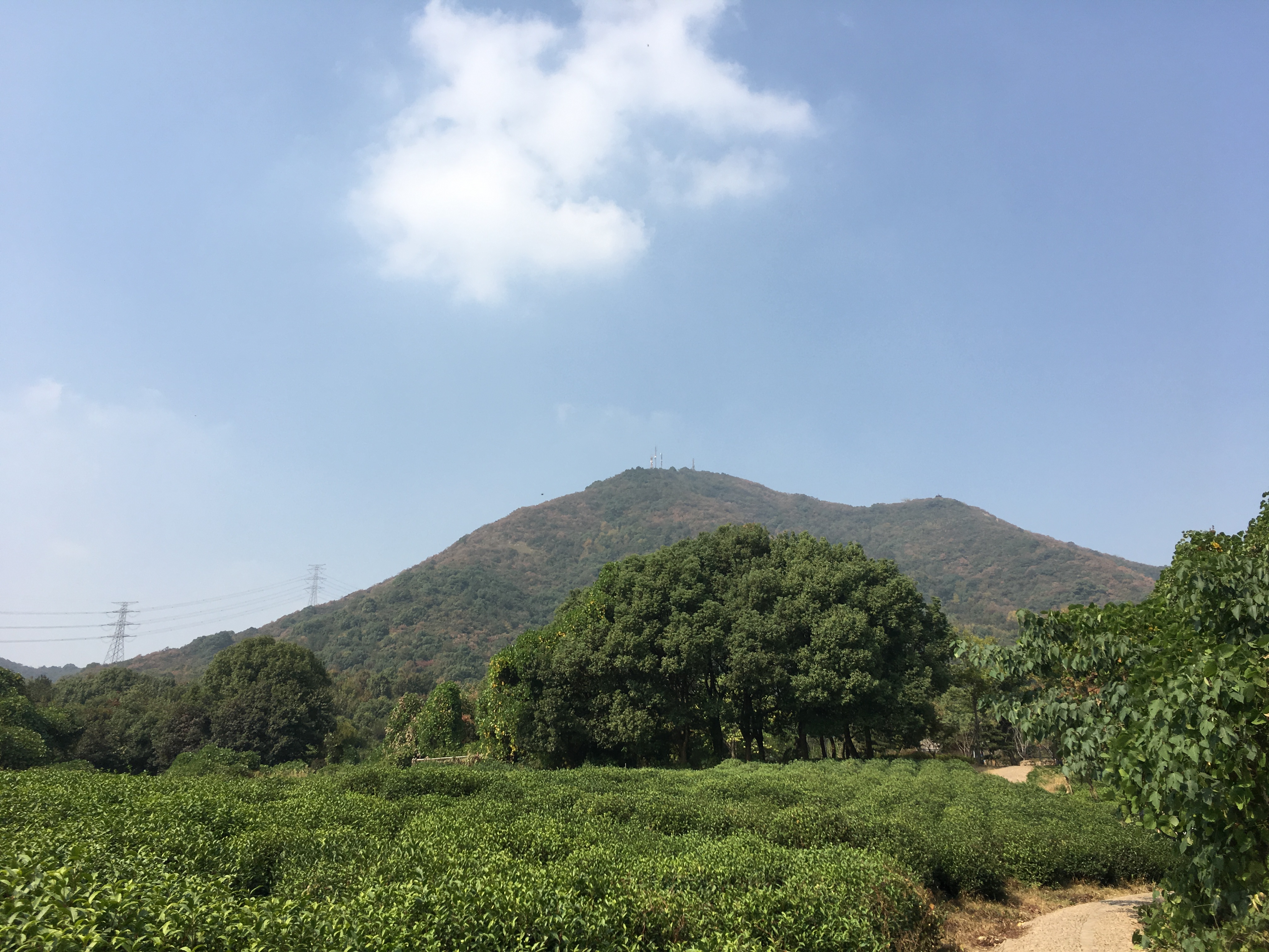 凌云山顶峰,最高峰凌云山