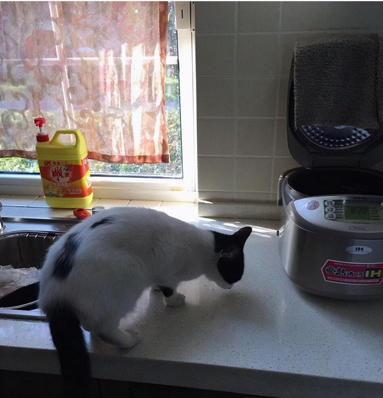 参观黄菡住的豪宅，专门打造一个休闲区，连椅子都是独立定做的