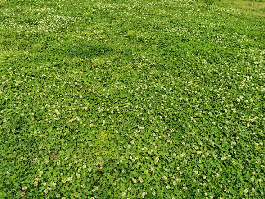 青岛高新区的公园让人们享受,青岛有个特别美的地方