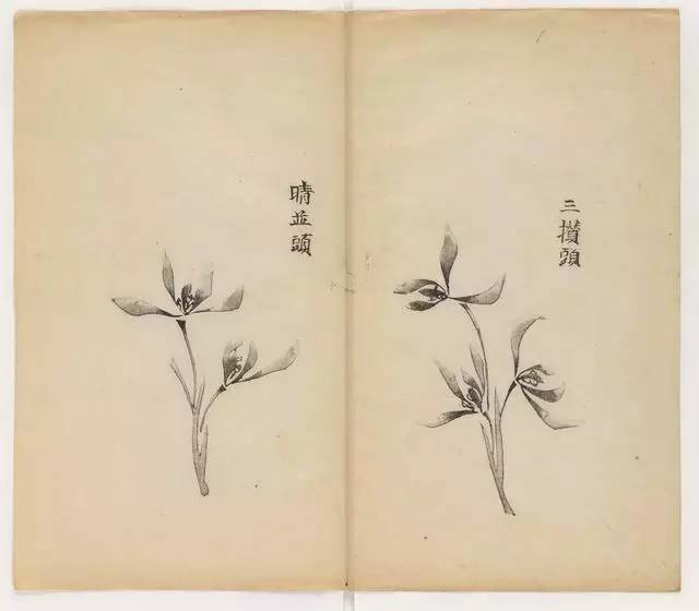 毛笔怎么画兰草,怎么画兰花和书法