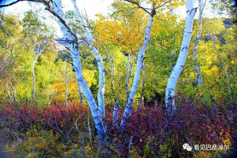 七分钟带你领略大美乌拉特前旗 (带你去看乌拉特前旗)