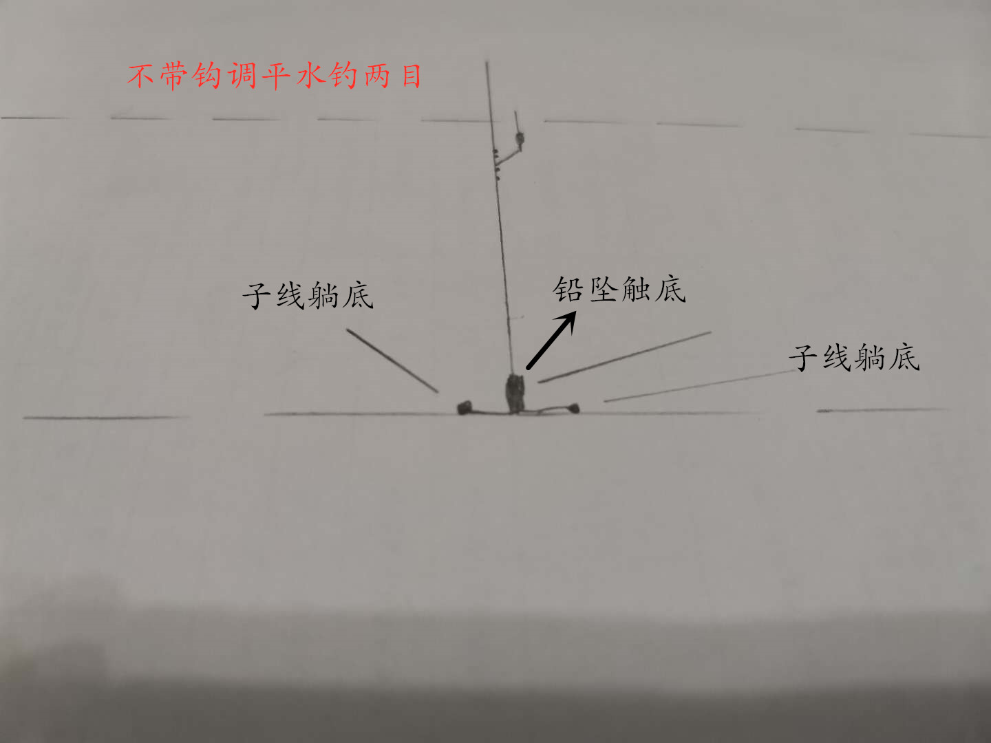 野钓鲮鱼调漂最佳方法,钓鲮鱼台钓调漂的正确方法