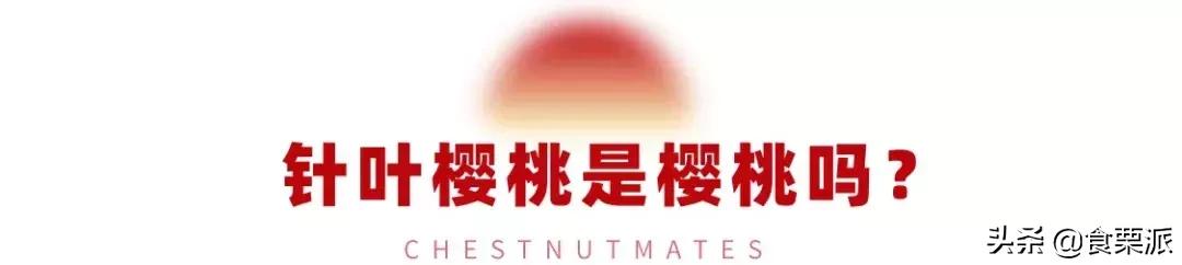 车厘子樱桃是一种东西吗,车厘子和樱桃营养价值有啥区别