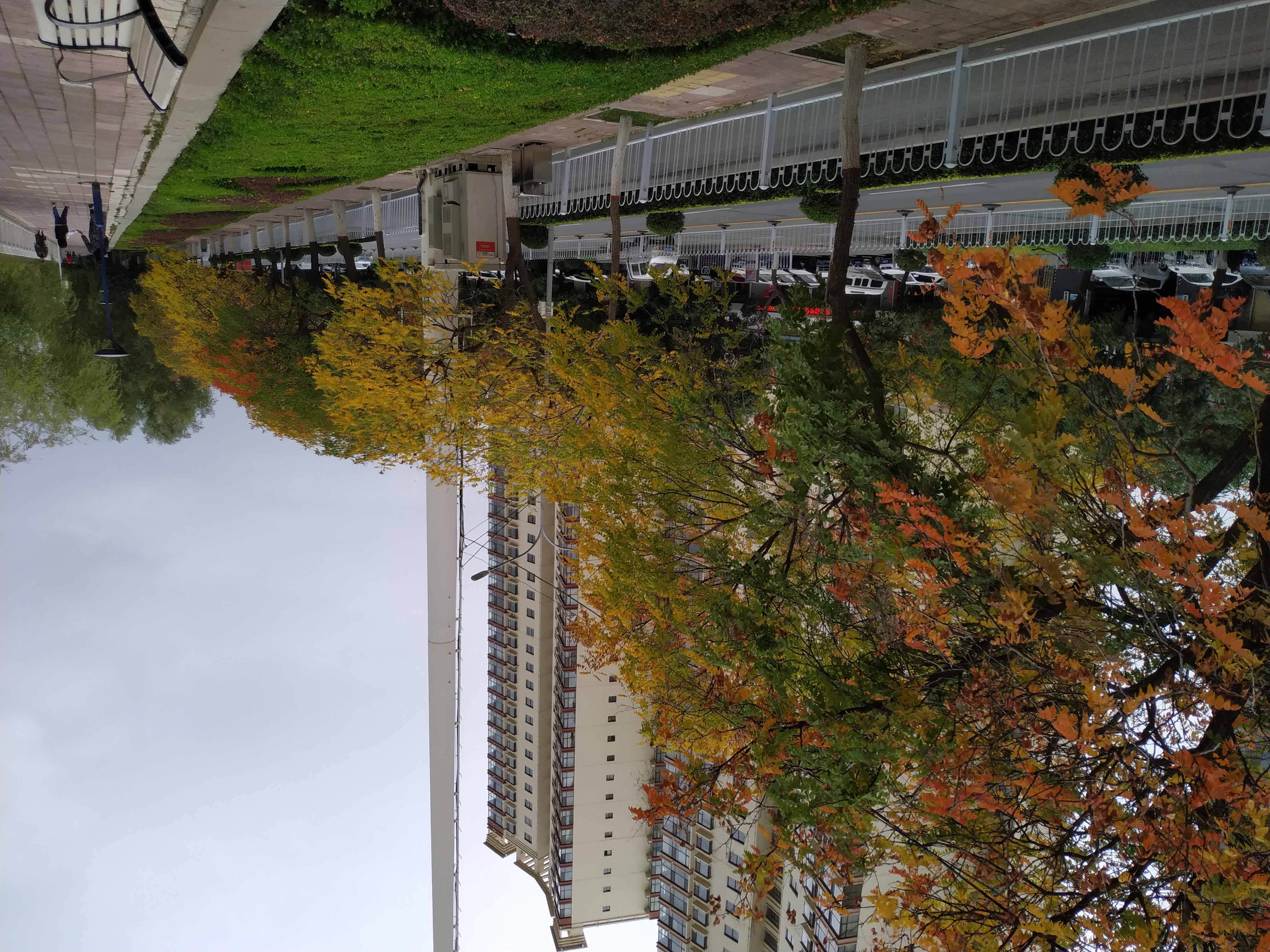 七里河百合公园地址,七里河旁边的公园