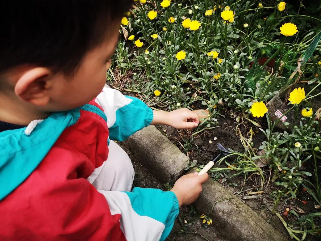 成都市双流区胜利幼儿园主题活动,天府新区幼儿园活动