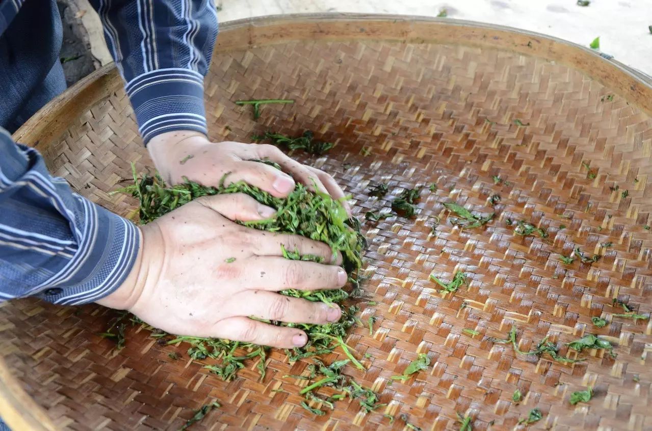 铁观音为何能成为十大名茶之一,安溪1725年铁观音