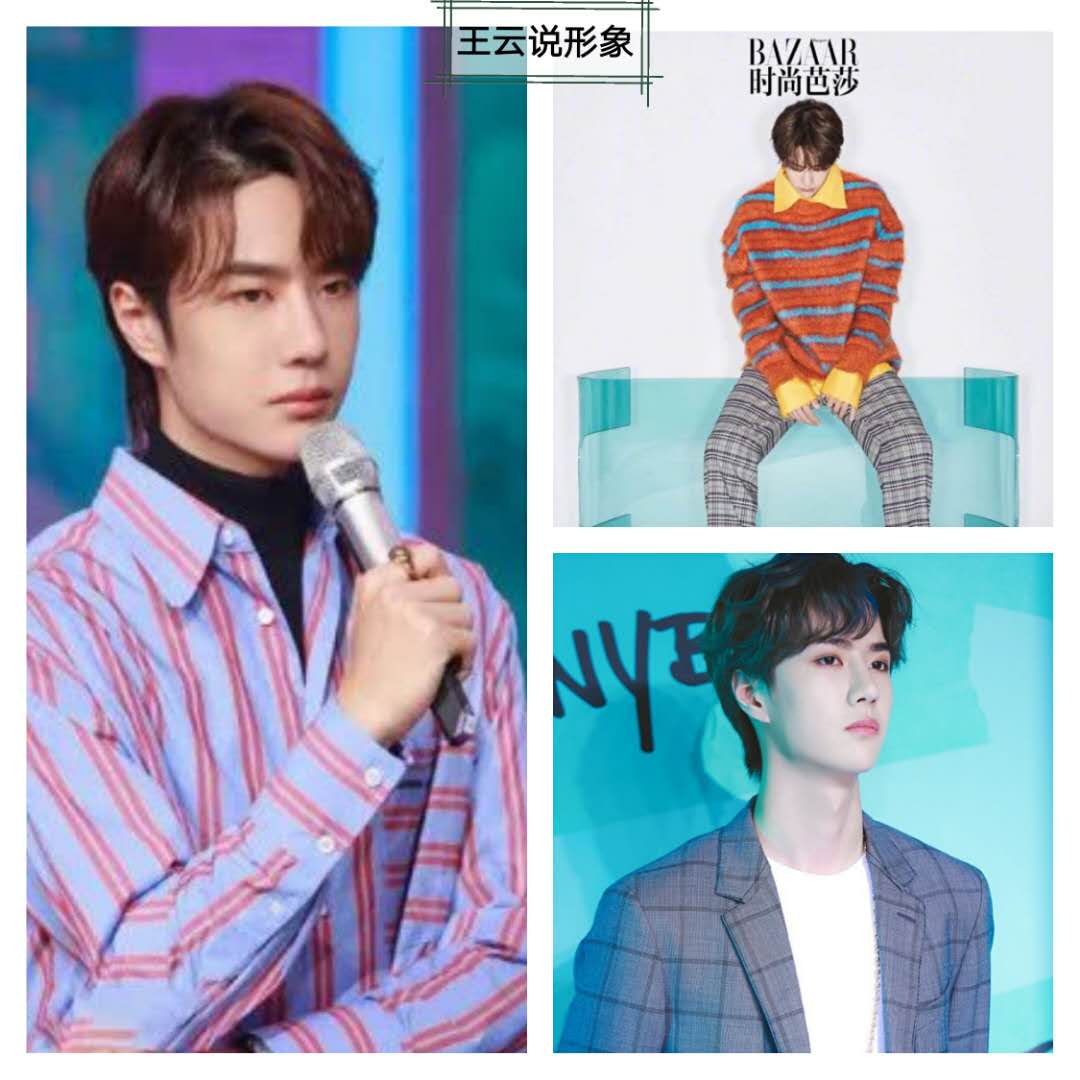 服装印花图案的流行趋势,面料单色印花图案大全