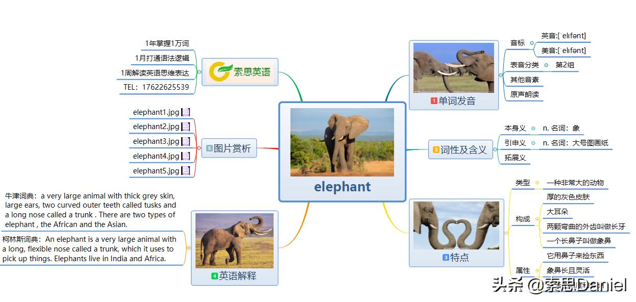 大象英语单词elephant,索思解码单词239个