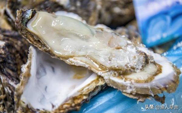 威海乳山牡蛎生蚝,乳山生蚝鲜活大牡蛎