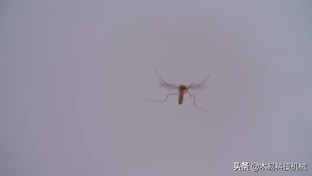 高科技灭蚊灭蟑螂小神器,自制灭蚊子神器第一名