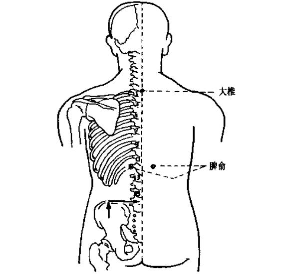 消除脂肪肝的穴位图,消除脂肪肝的穴位