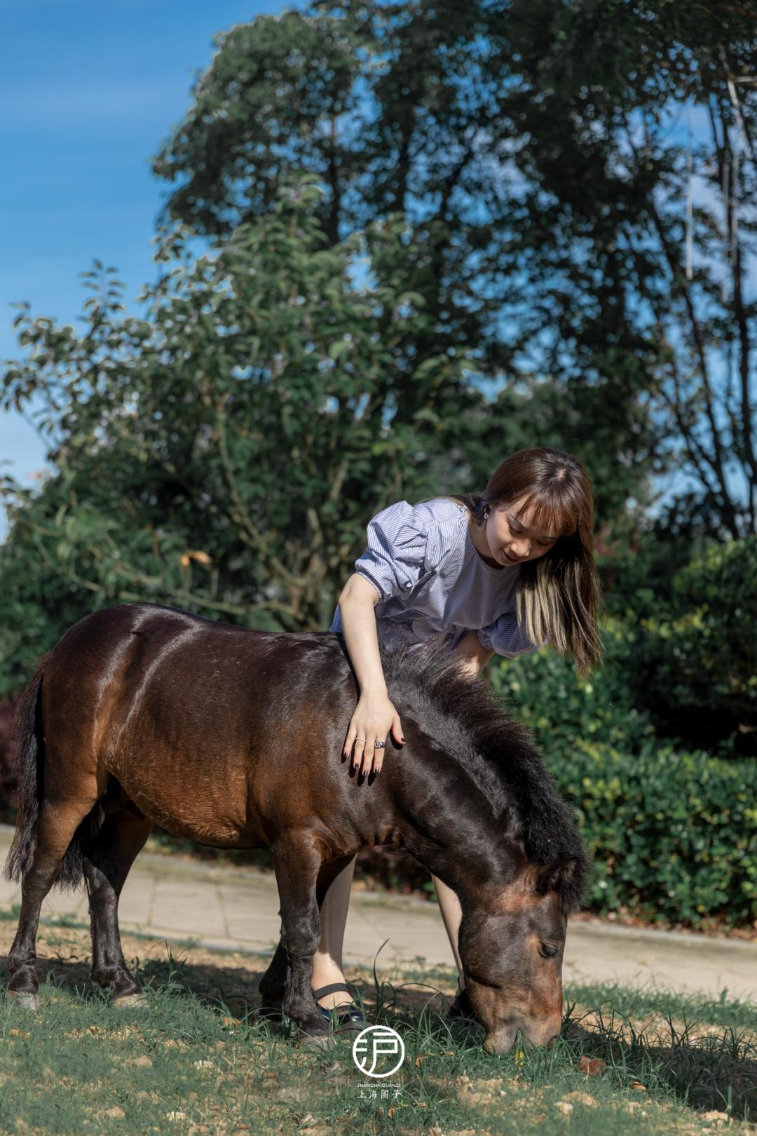 舟山希尔顿旅游攻略,舟山希尔顿酒店自由行热门攻略