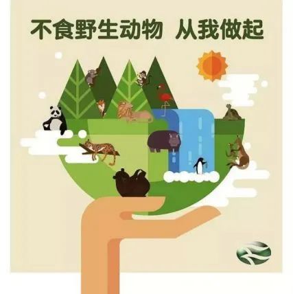 NOEAT这XIE东西！