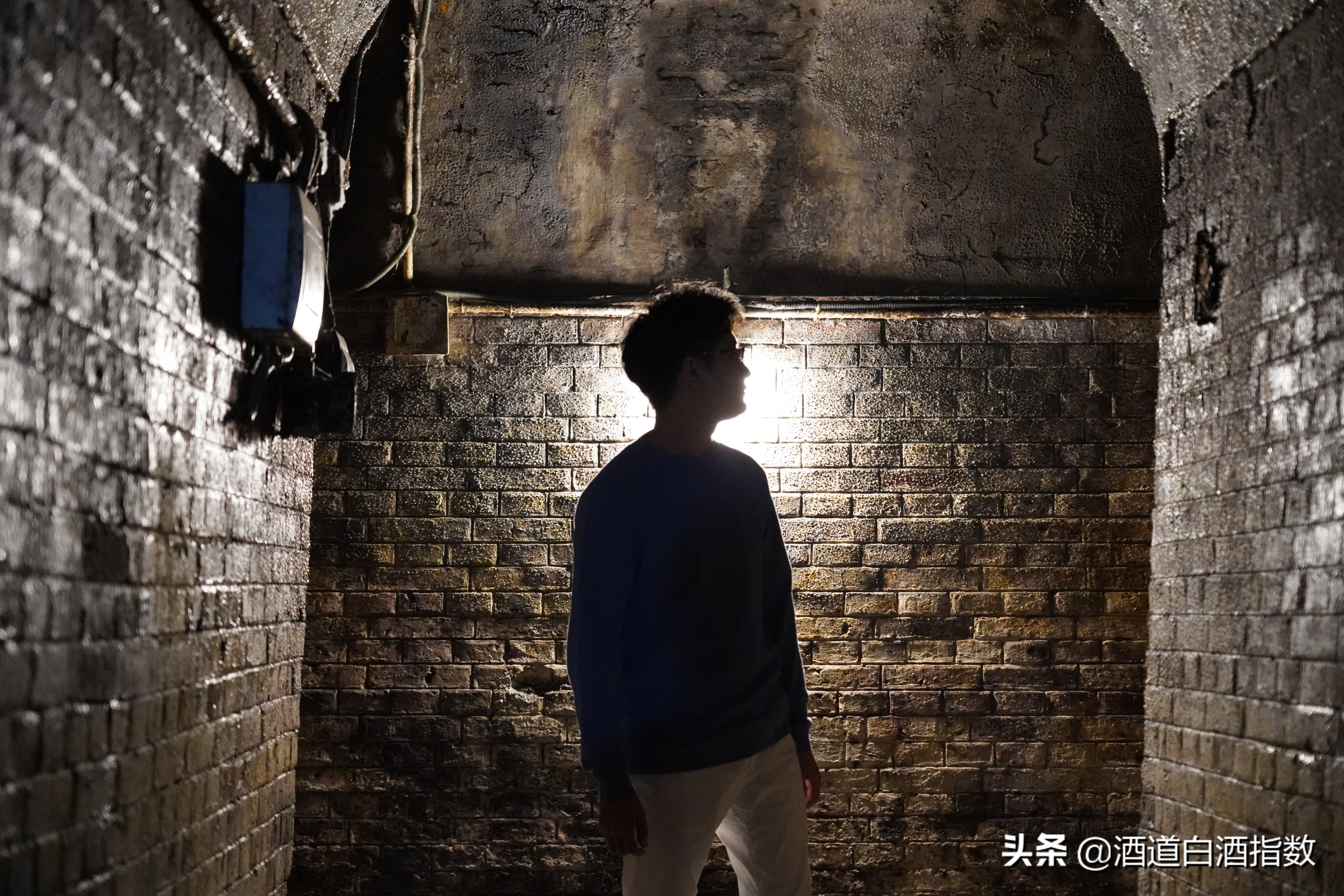 探索深藏闹市的百亿酒窖揭开清朝老酒神秘面纱——袁曦藏老酒会馆